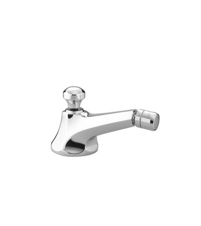 13900380 Bidet Spout