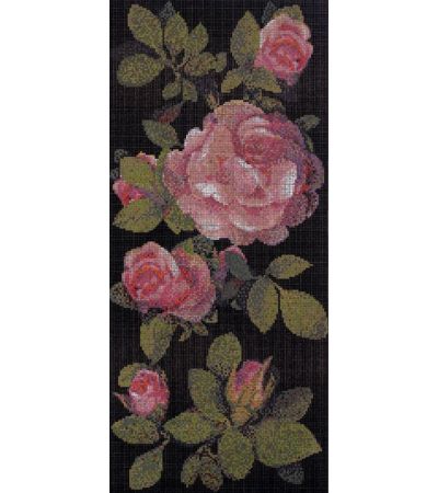 'Springrose' Nero B