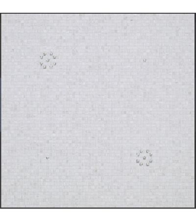 'Stars' White
