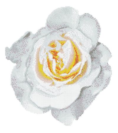 Bisazza Pools 'Rosa Bianca'